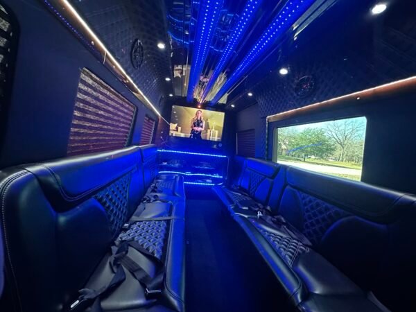 Custom Limo-Style Sprinter - Image 5