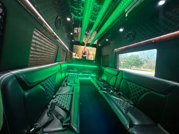 Custom Limo-Style Sprinter - Image 6