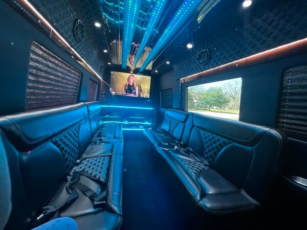 Custom Limo-Style Sprinter - Image 3